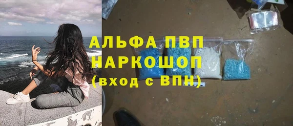 шишки Беломорск