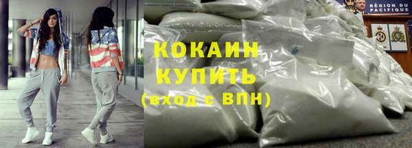 индика Белоозёрский