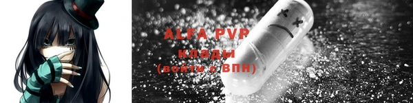 шишки Беломорск