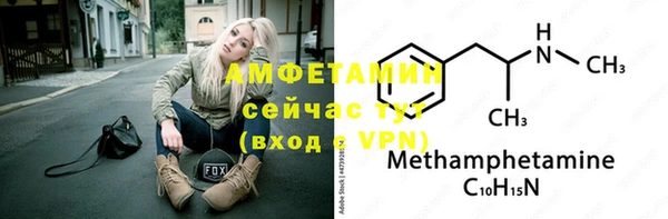 шишки Беломорск