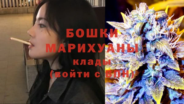 индика Белоозёрский