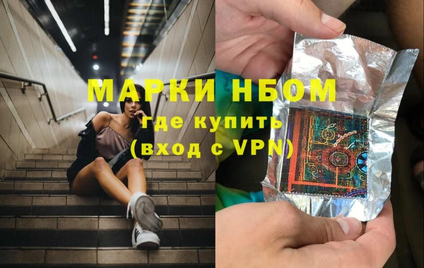 шишки Беломорск