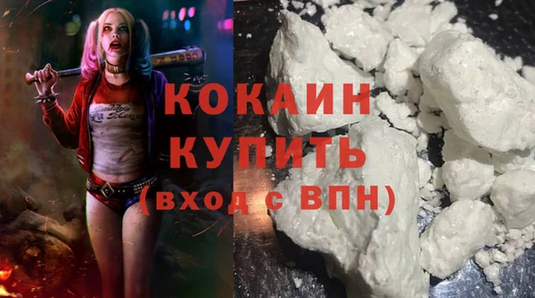 шишки Беломорск