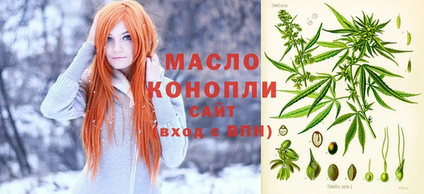 индика Белоозёрский