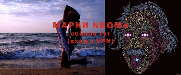 шишки Беломорск