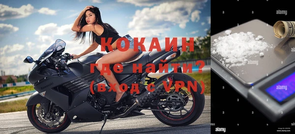 шишки Беломорск