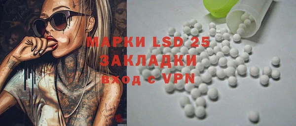 индика Белоозёрский