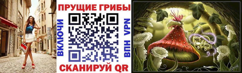 Галлюциногенные грибы Psilocybine cubensis  Янаул 